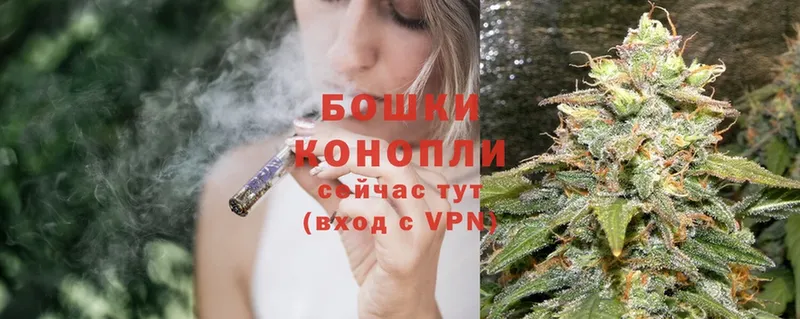 Бошки Шишки LSD WEED  цены   Ветлуга 